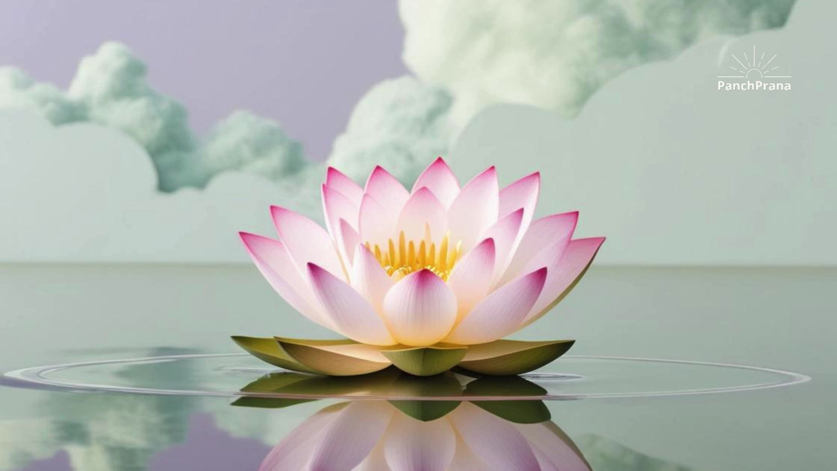 Box Breathing for Calm - 8 minutes